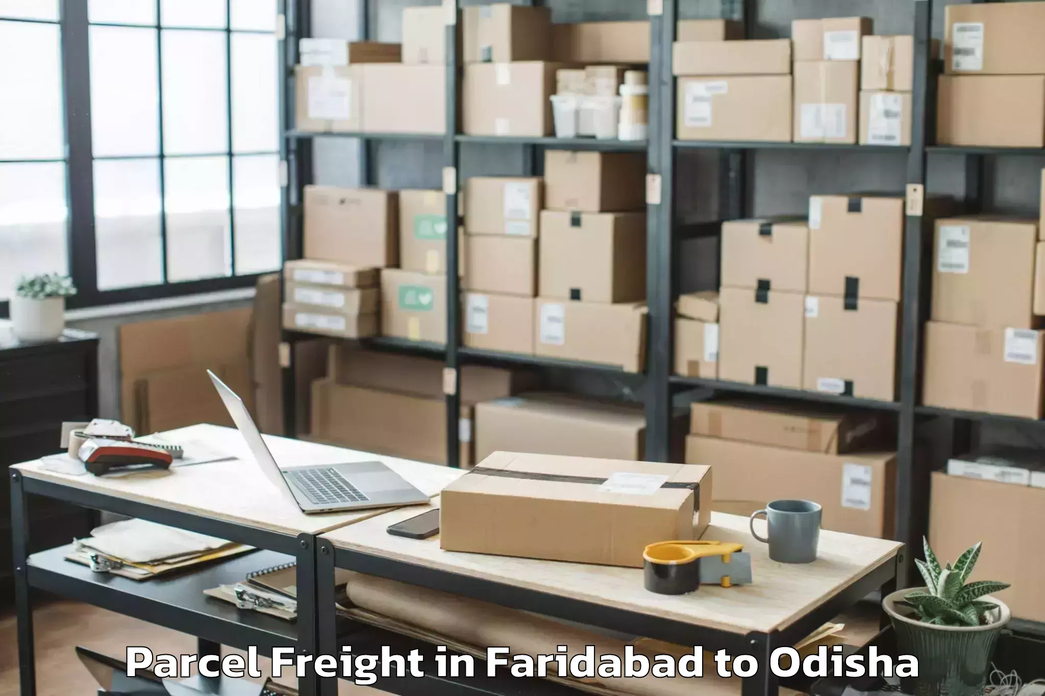 Faridabad to Mudulipada Parcel Freight